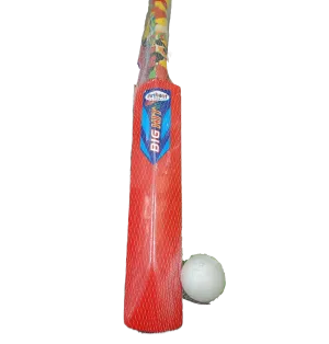 Cricket Bat with Ball